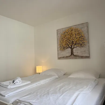 Great 2 Bedroom Flat In The Center - Mainau 12 * Zürih