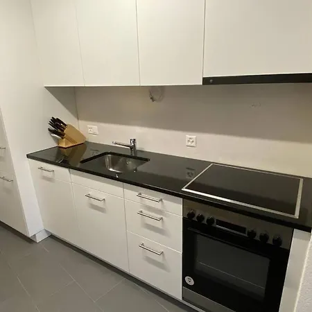 Great 2 Bedroom Flat In The Center - Mainau 12 Apartment Zurich