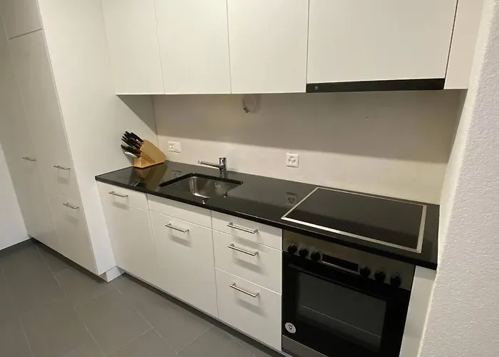 Great 2 Bedroom Flat In The Center - Mainau 12 شقة زيورخ